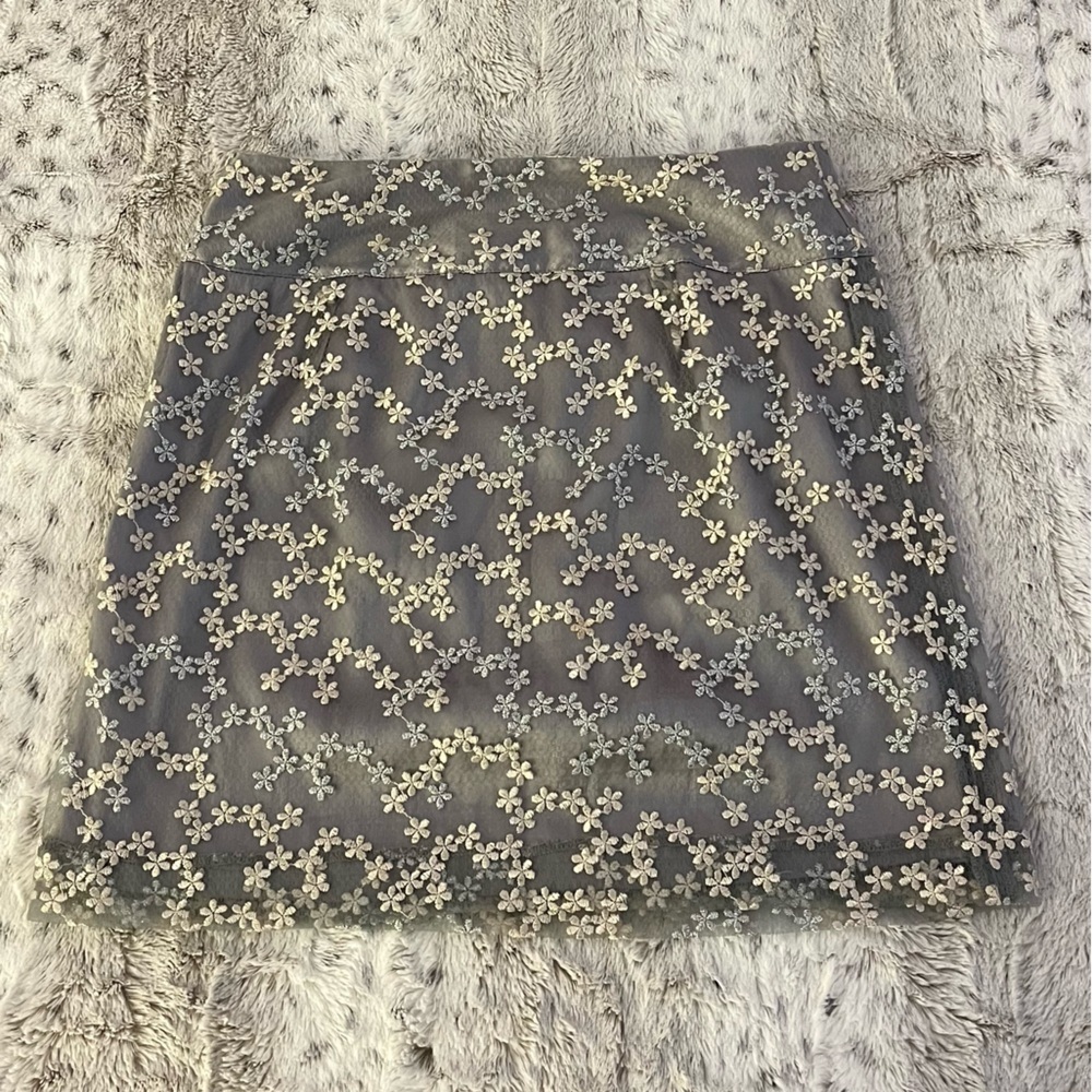 Sheer Floral Embroidered Overlay Skirt